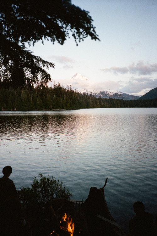 vhord:  strictly nature