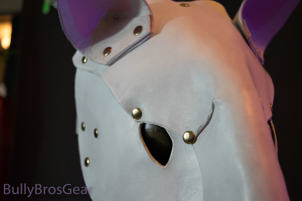 bullybrosgear: Detail shots! This pupper is for sale here. 