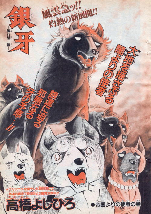 therealgingastuff: Gin, Akame, Ben and the wolves in a different manga edition