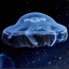 furiousjellyfishpainter