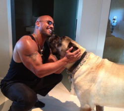 organiccyborg:  blackguyswithpuppies:  Dwayne “The Rock” Johnson and his dog, Bonecrusher  It’s a dog version of him oh my goodness 