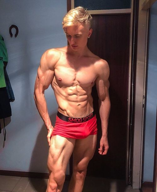 musclecomposition:Bodybuilder, Karlo Zure