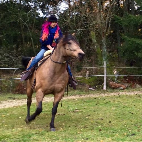Oh yeah! I got to ride a horse while I was in Germany! A friend of a friend kindly let me hang out with her pretty mare, Manãna, for a bit! My legs were too short for the stirrups, but it was fun to trot a few rounds!
#yayaventures #Germany...