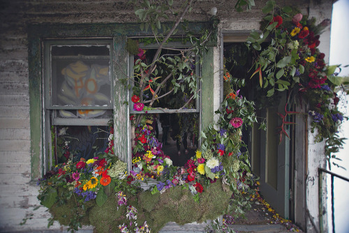 earthsnirvana:   culturenlifestyle:  Abandoned Detroit House is Transformed with 36,000 Flowers In November 2014, florist Lisa Waud bought this abandoned, crumbling duplex in Detroit Michigan. Winning the bid at 趚, Waud had not even seen the home.