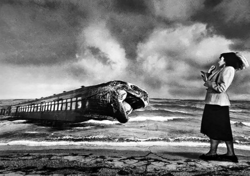 Grete Stern