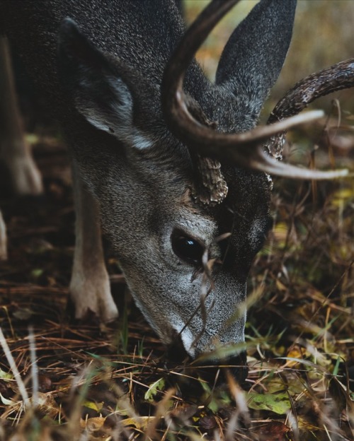 Field days. #FilsonLifePhotography by Nels Evangelista