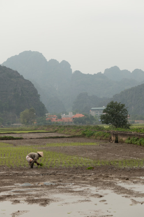 Remembering VietnamJanuary 27, 2020When I opened my eyes a few days ago, sometime between 6:30 and 7