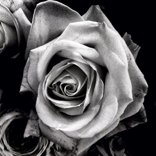 calvinklein:   Photo © Fabien Baron (taken with Instagram) @fabienbaron  