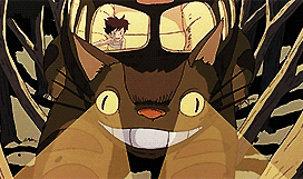 thegingerway:  Miyazaki Movies + face fast forward 
