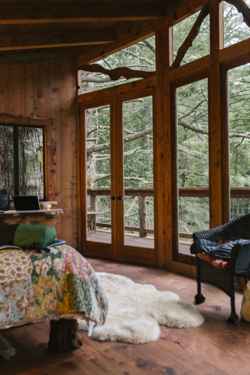 lisselundin:Eagles Nest Treehouse at Salmon Creek Ranch. Bodega, California.