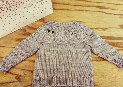 My first sweater! Owlet