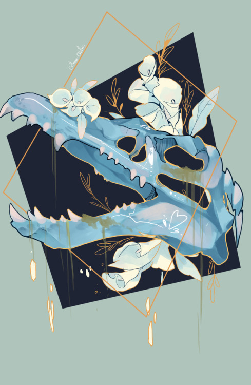 crimson-chains: SKULLS PART TWO!!!Dinosaur skulls this time ^^Part one