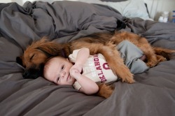 Just My Dog Spooning My Baby | Cutest Paw