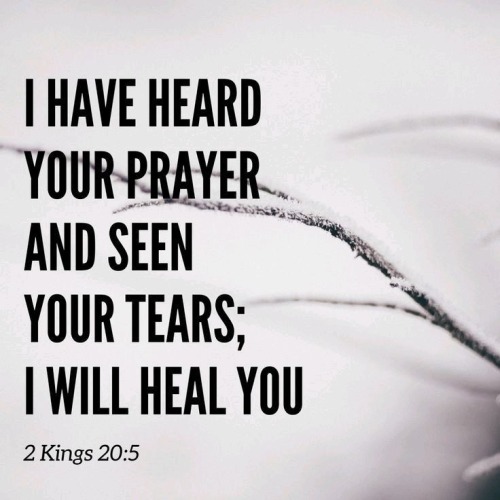 Go Back And Tell Hezekiah, The Ruler Of My People, This Is What The Lord, The God Of Your Father David,