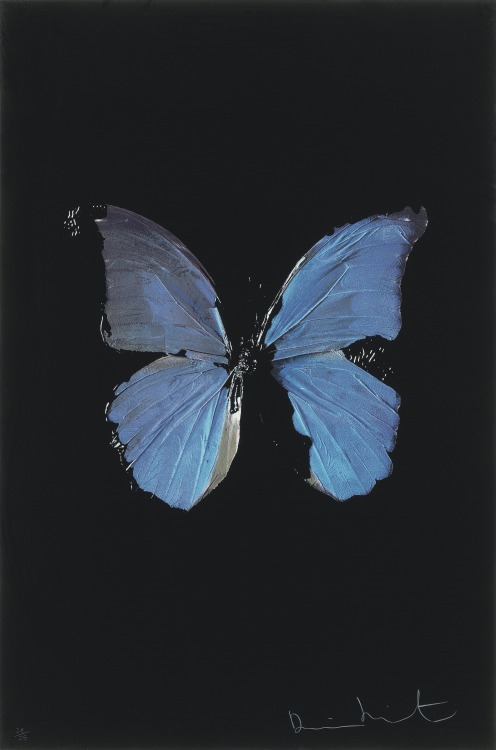 christiesauctions - Damien HirstThe Soul on Jacob’s...