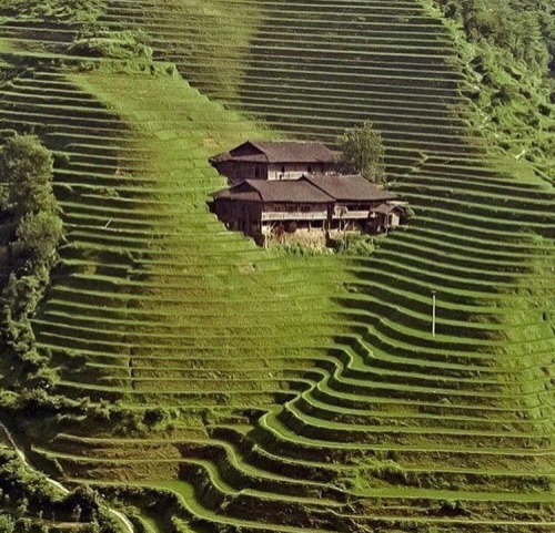 nitrons:  Longji.
