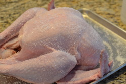 foodffs:  DRY BRINED TURKEY  Really nice