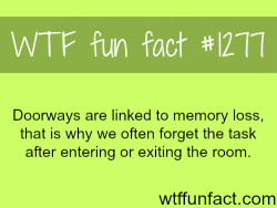 wtf-fun-facts:  doorways and memory loss 