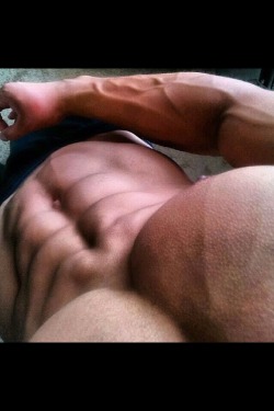 Musclex ...be inspired