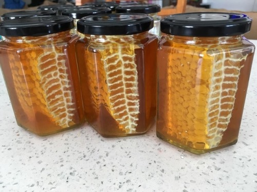 honey jar