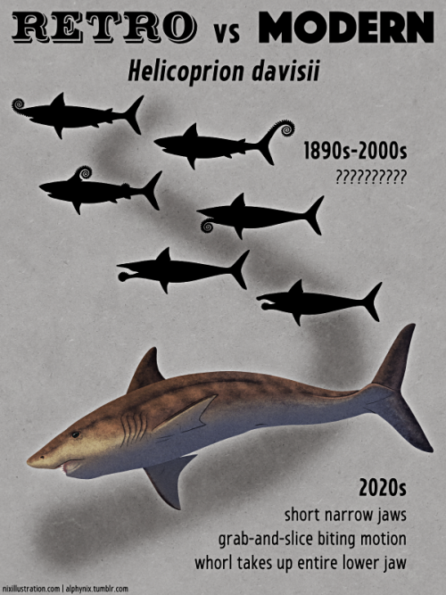 Retro vs Modern #08: Helicoprion davisiiFirst discovered in Western Australia in the mid-1880s, the 