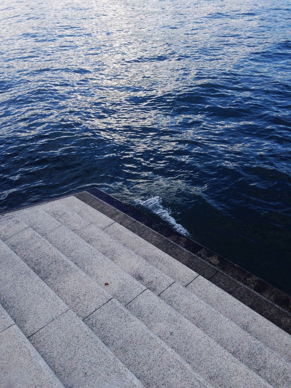 projectmadhouse:
“lake como - 2014
”