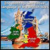 Second most spoken native language in the British Isles.
by srb_maps