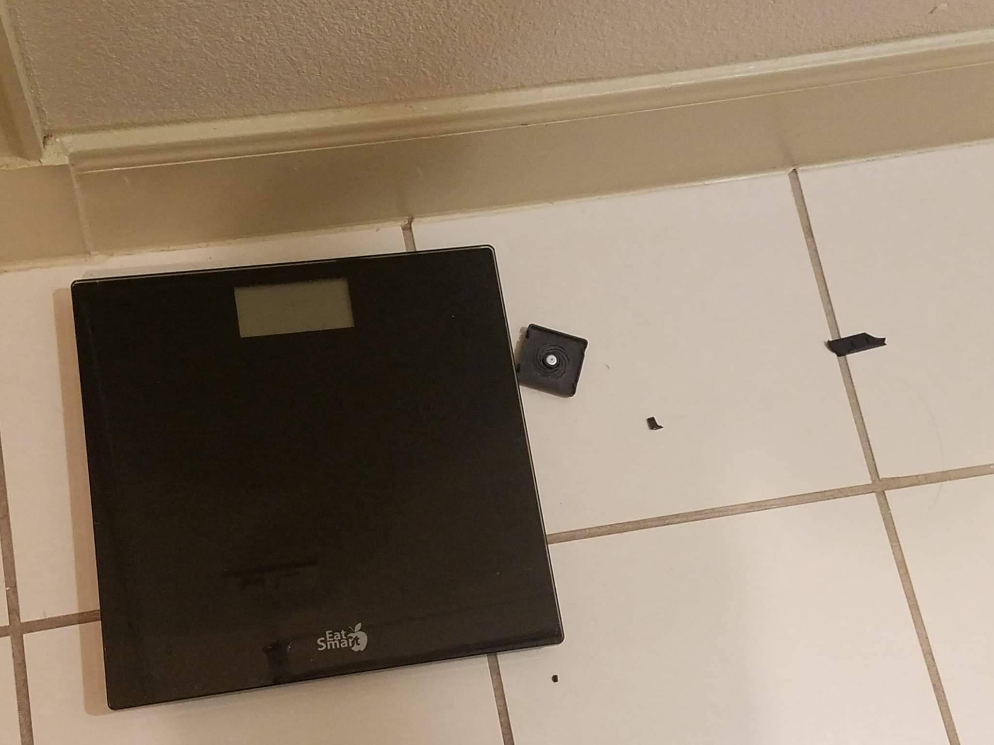 couchqueenie:I broke my scale! Idk if I got too fat for it or what! I wanted to get a new one, anyway. It always gives me a different reading, each time I step on it. My weight fluctuates, but not by 5 pounds from one day to the next! 😅