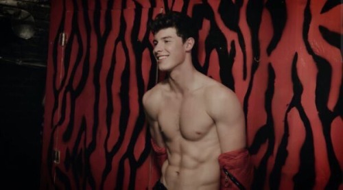 iamchristopherturnt:Shawn have mercy 😩💕