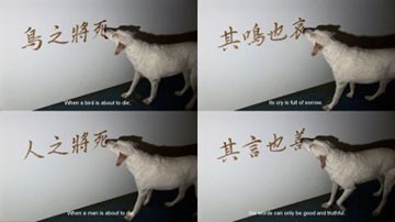 Hung-Chin Peng, Excerpts from the Analects of Confucius, 2008, film, 15.38