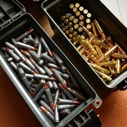 Mysidekick10Mm:  #Gunporn #Ammo #556 #762Mm #Pewpewlife 