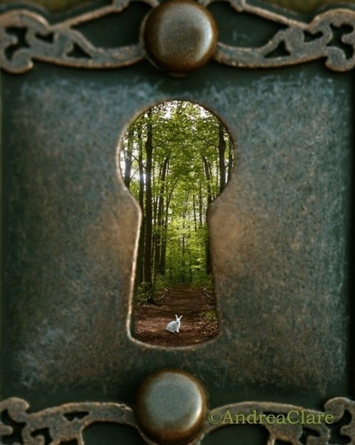 Free your mind… there is so much more beyond the locks that keep us trapped.