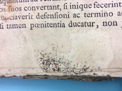 msulconservationlab:  This poor book was full of mold, dirt, and accretions. (I urge you to click on