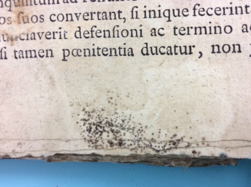 msulconservationlab:This poor book was full of mold, dirt, and accretions. (I urge you to click on