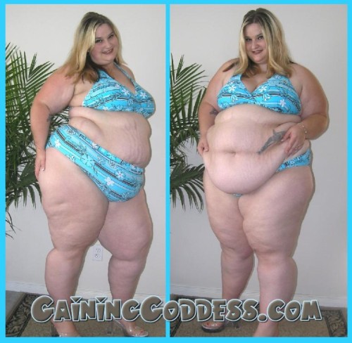 checossbbw:  Colección 4 de SSBBW   