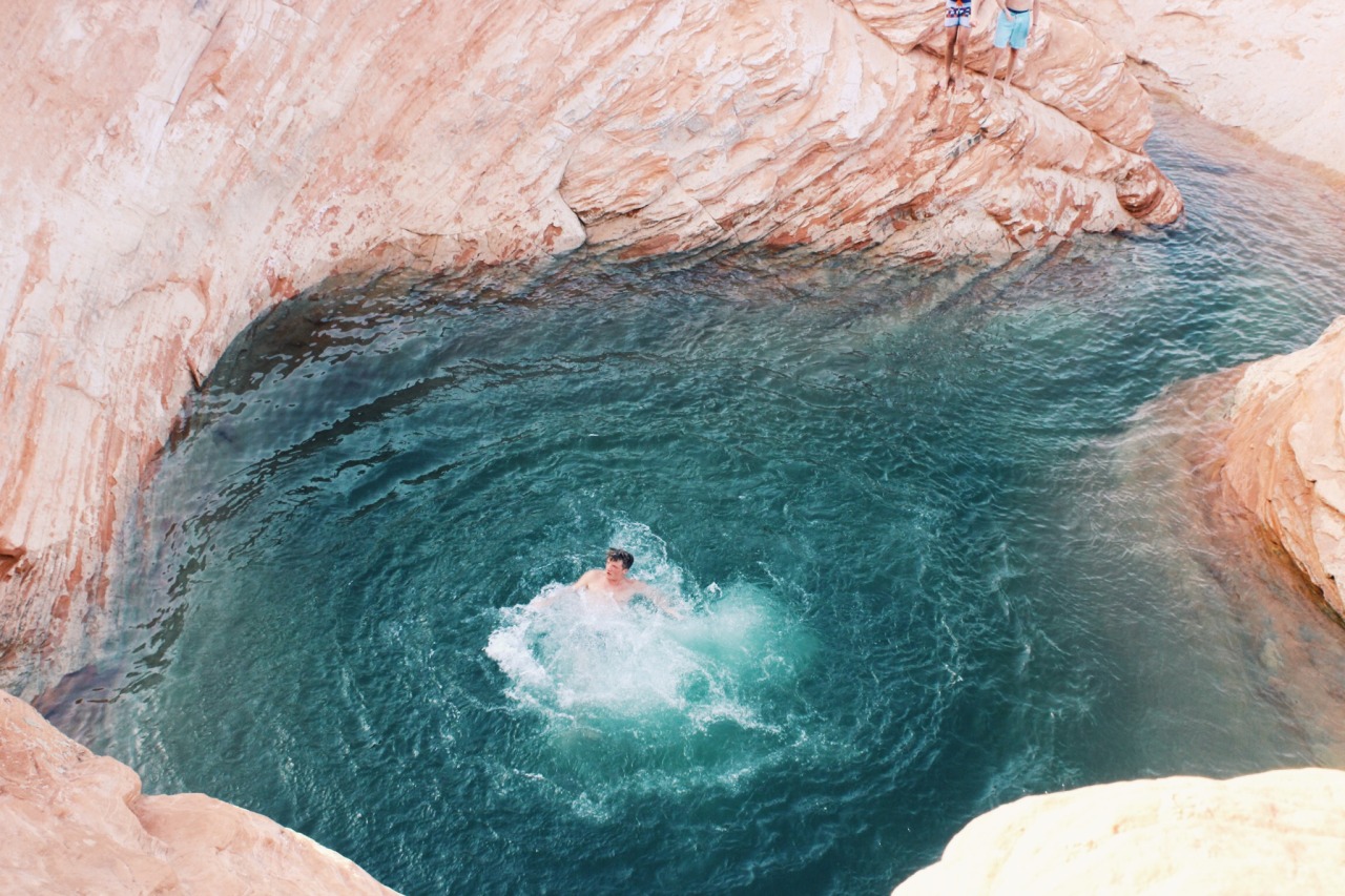 northwoodswonder:  danielodowd:  http://savannahwilliams.vsco.co/  + 