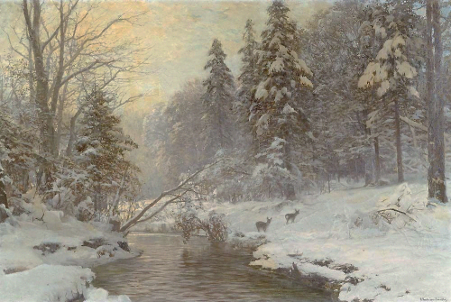 sesiondemadrugada:Anders Andersen-Lundby. Celebrating the arrival of winter with a cold walk in the 