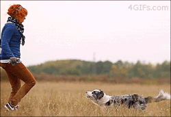 4gifs:  Barkour  Lol BARKour because its like Parkour, ha 