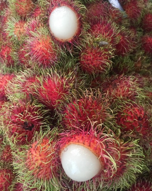 Porn photo #lychee #fruits #chinesefruit