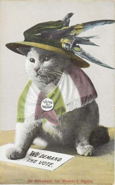coffee-teach-wine:  siavahdainthemoon:  taxloopholes:  johnnyjoestarrelatable:  johnnyjoestarrelatable: fun history fact: a common argument against women voting was ads with cats dressed up as suffrage activists next to signs reading “i demand a vote”