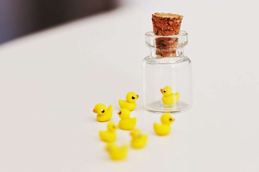 mijbilcreatures:Micro rubber duck in a tiny bottle