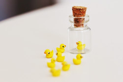 mijbilcreatures:Micro rubber duck in a tiny