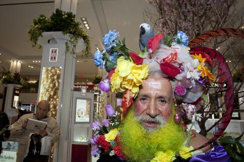 Macy’s Flower Show is still in bloom in Herald Square. Walk through the garden until Saturday, April