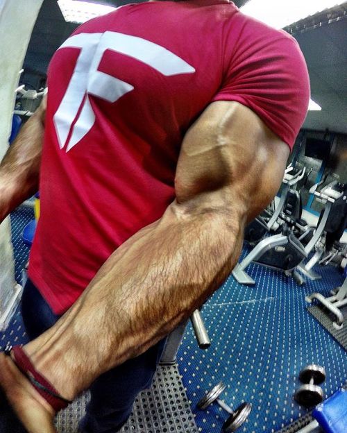 Ashraf Fatouh