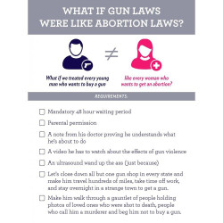 creativeactionnetwork:  What if Gun Laws