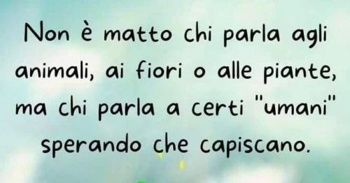 Ho imparato che puoi parlare con estrema naturalezza solo a poche persone. Che non tutti capirebbero ciò che vuoi dire loro; non per mancanza di perspicacia ma per un semplice e reale disinteresse. Ho imparato che molti faranno finta di ascoltarti...