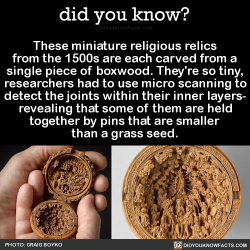 did-you-kno: These miniature religious relics from the 1500s are each carved from a single piece of boxwood. They’re so tiny, researchers had to use micro scanning to detect the joints within their inner layers- revealing that some of them are held