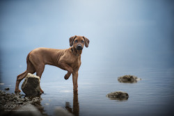 shipwreckedinsc:  Grace by -anne_geier- #photoexplorer