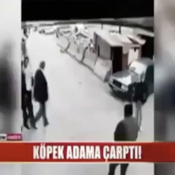 Köpek adama çarptı