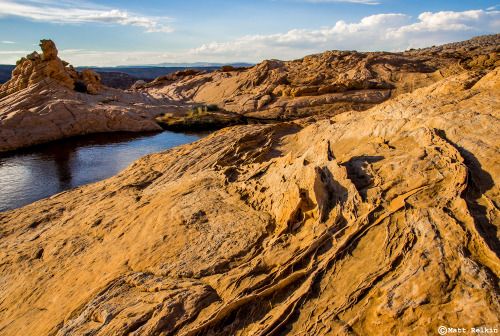 nolonelyroads:Vermilion Cliffs National Monument, UT